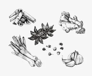 五香粉原料素描免抠