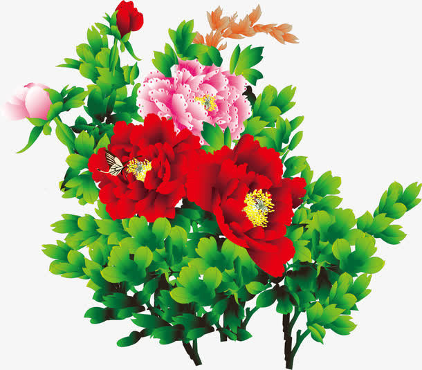 盛开的花朵免抠