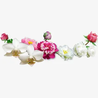 盛开的花朵免抠