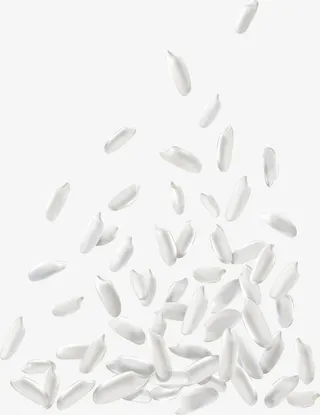 白色大米矢量设计免抠