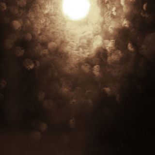 模糊的雨珠朦胧的月免抠