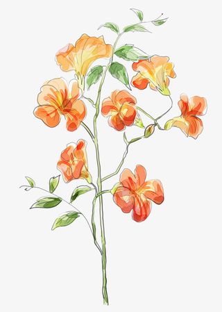 手绘花朵图片素材卡通鲜花素材免抠