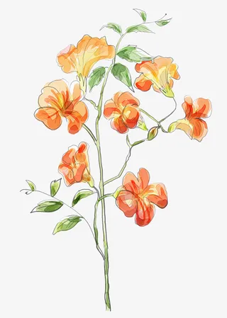 手绘花朵图片素材卡通鲜花素材免抠