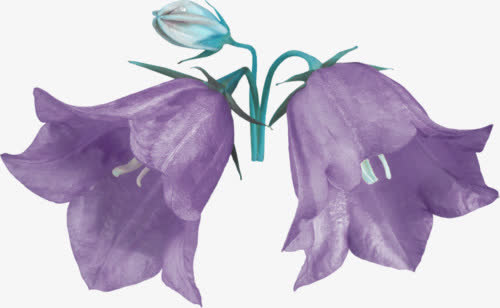花免抠