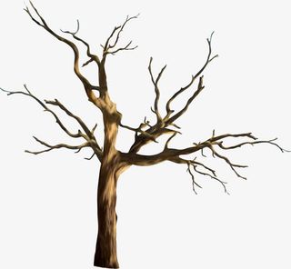 手绘枯树枝免抠