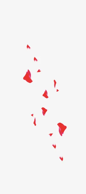 玫瑰花瓣免抠