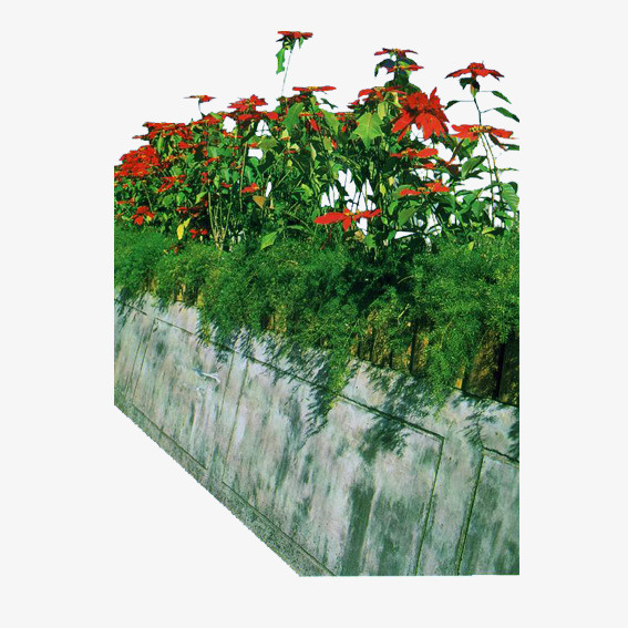 花台鲜花免抠