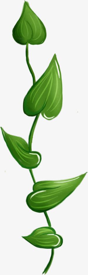 手绘清明节绿叶装饰免抠