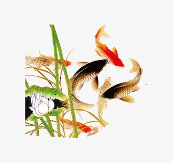 中国风传统水墨鱼免抠