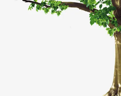 绿色春天大树美景树干免抠装饰植物元素