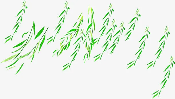 春季手绘绿色柳叶装饰合集免抠