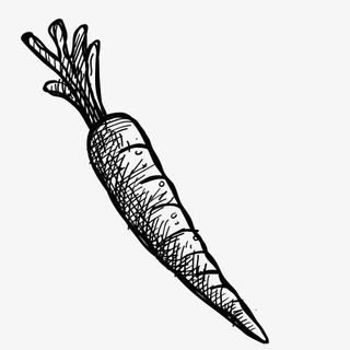 铅笔画 果蔬 蔬菜 速写 黑白免抠