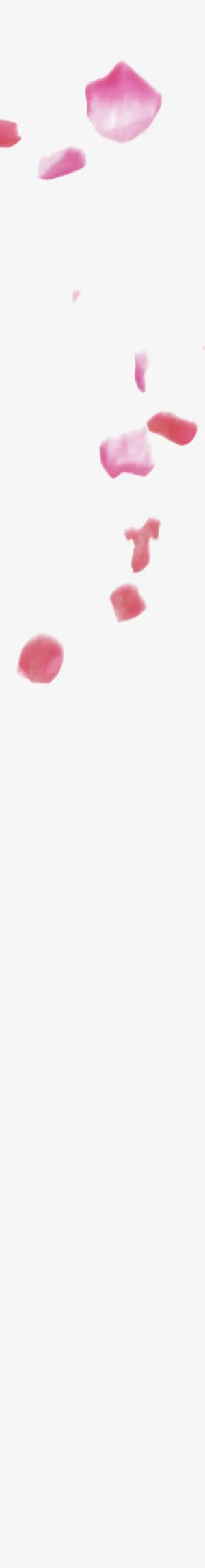 樱花花瓣png免抠