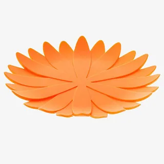 橘红色花瓣形状水果盘免抠