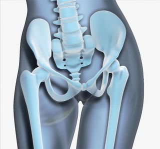 立体骨盆脊椎图免抠