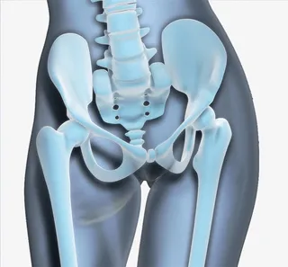 立体骨盆脊椎图免抠