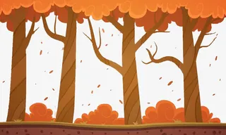 热带雨林秋季免抠