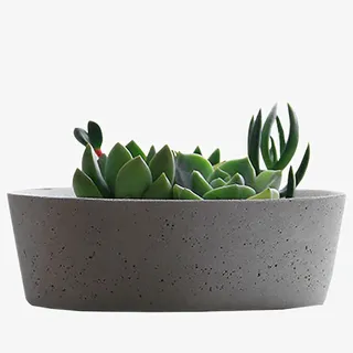 多肉绿植小盆栽花盆免抠