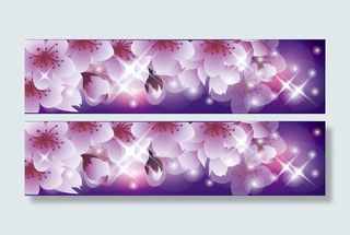 浪漫樱花banner背景