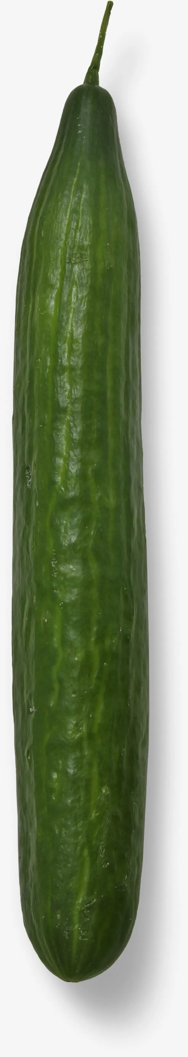 黄瓜是蔬菜类免抠(658*3697px(72dpi))