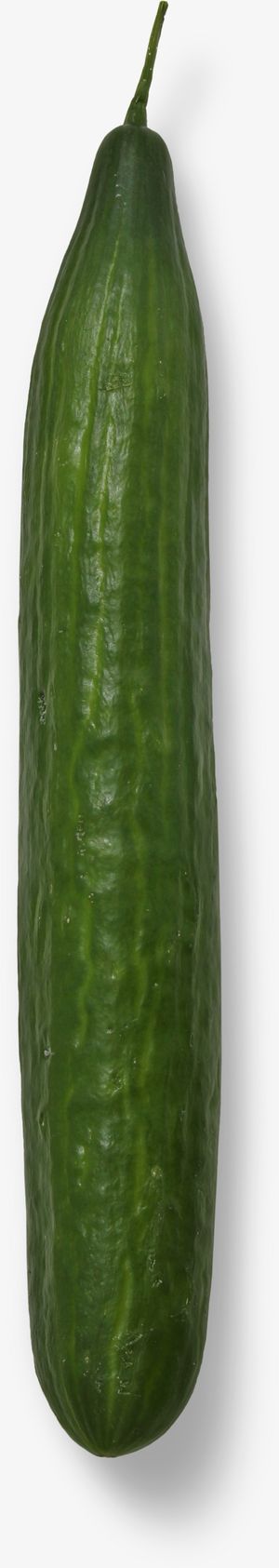 黄瓜是蔬菜类免抠