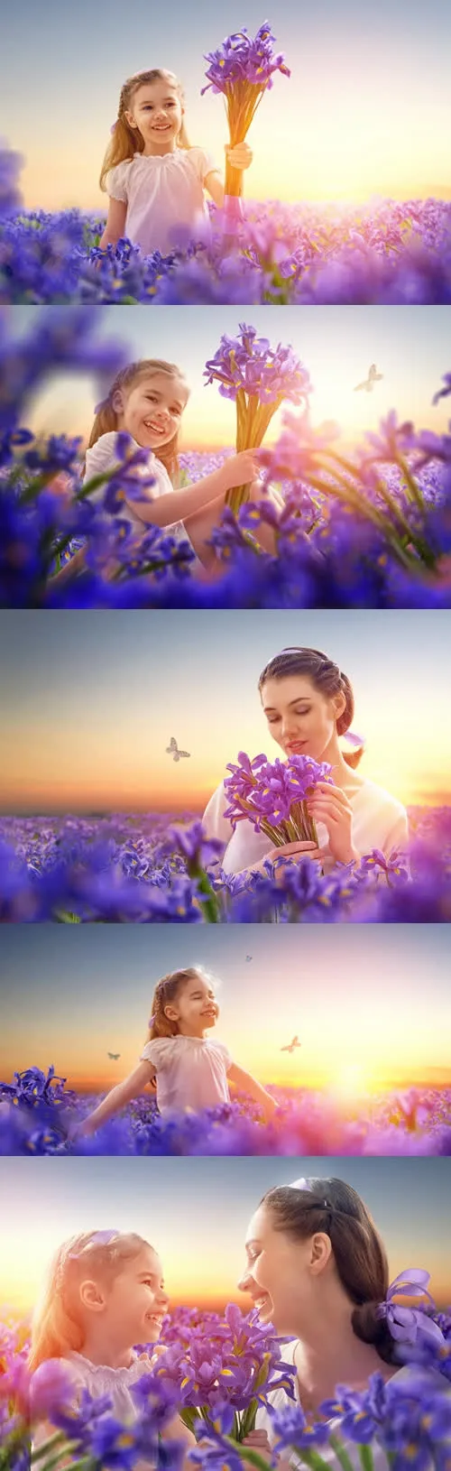 唯美清新薰衣草花海摄影图免抠