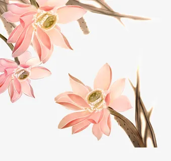 手绘粉嫩荷花免抠