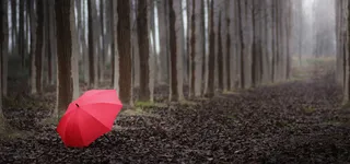 日系清新文艺淡色红色雨伞森林背景高清