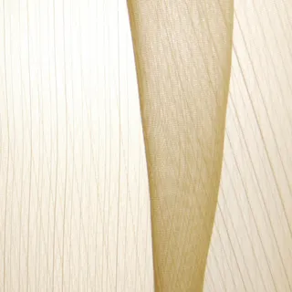 有透光效果的纹理细节图高清