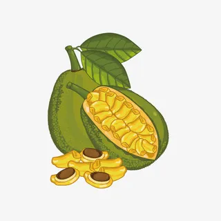 菠萝蜜免抠下载免抠手绘/卡通卡通元素