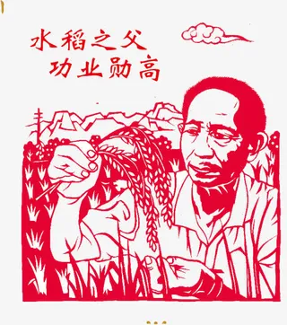 水稻之父功业勋高免抠