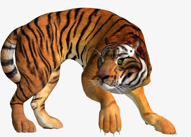 中国风猛虎免抠