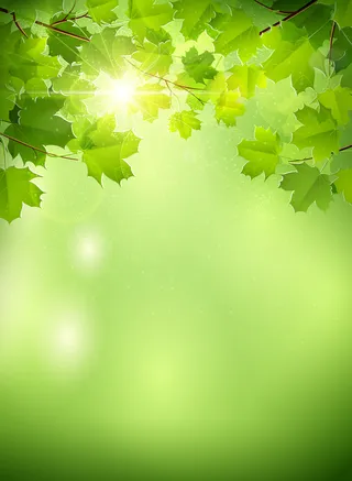绿色春季海报背景素材高清