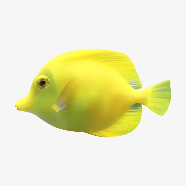 鱼类 鱼儿 鱼免抠