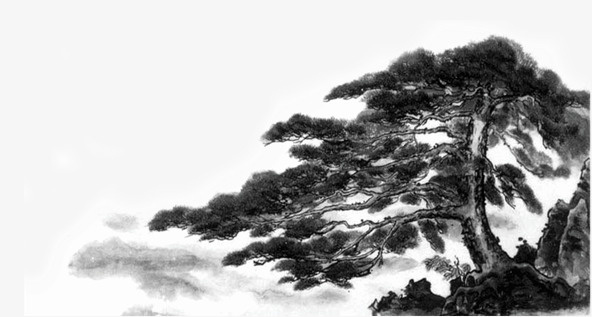 松树免抠