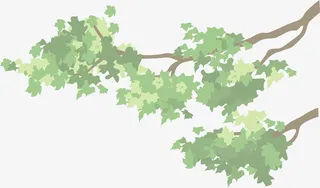 矢量手绘树枝免抠