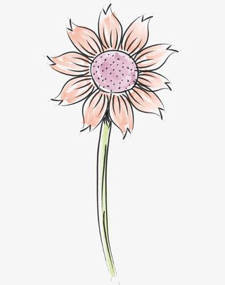 手绘水彩花卉免抠