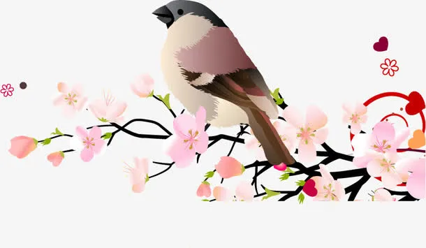 花鸟图免抠