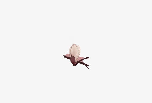 古风桃花短树枝免抠