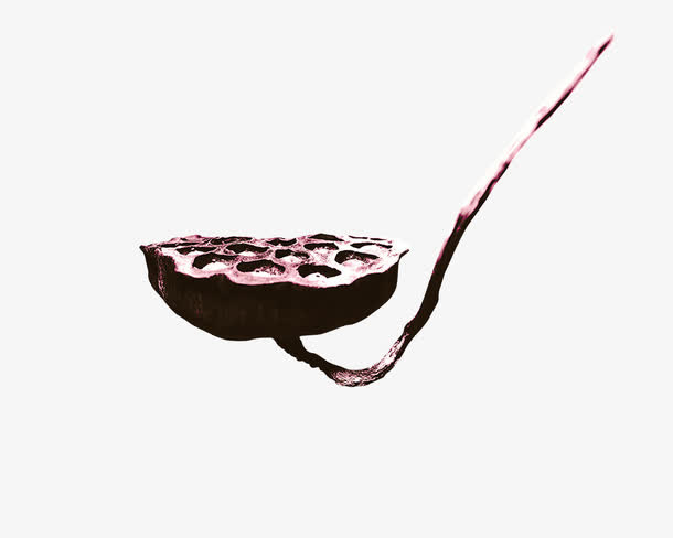 金属莲蓬免抠
