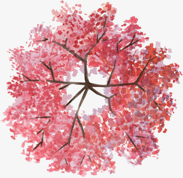 红粉色花树枝丫水彩风手绘免抠