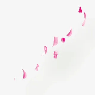 漂浮粉色花瓣免抠