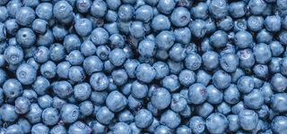 水果静物摄影背景高清