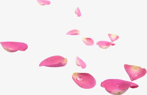 粉色水珠花瓣七夕情人节免抠