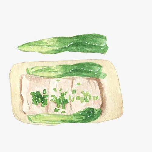 豆腐皮白菜手绘画素材图片免抠