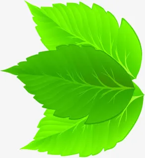 绿色春天树叶美景手绘设计免抠