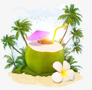 海南度假椰子汁免抠