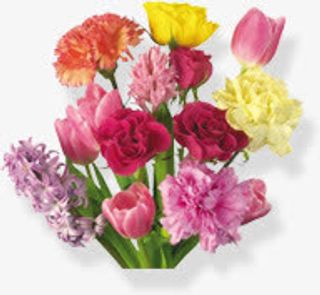 康乃馨花束免抠