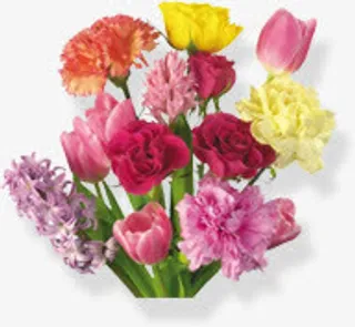 康乃馨花束免抠