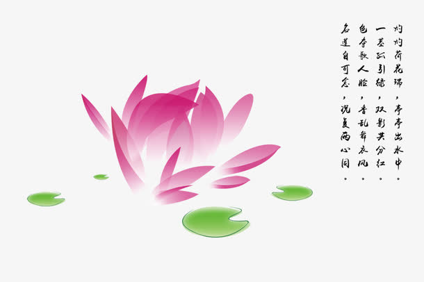 荷花图片免抠